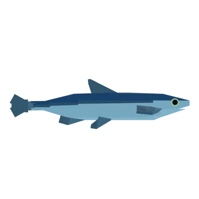 Anchovy in Roblox Fisch