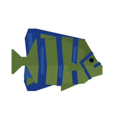 Angelfish in Roblox Fisch