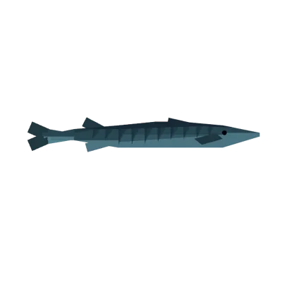 Barracuda in Roblox Fisch