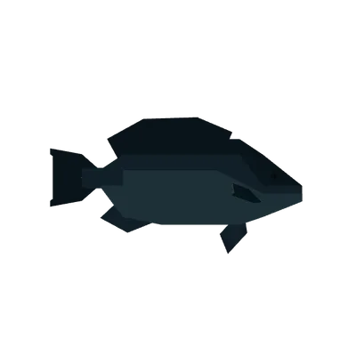 Blackfish in Roblox Fisch