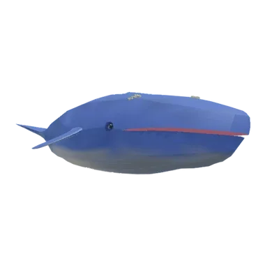 Blue Whale in Roblox Fisch