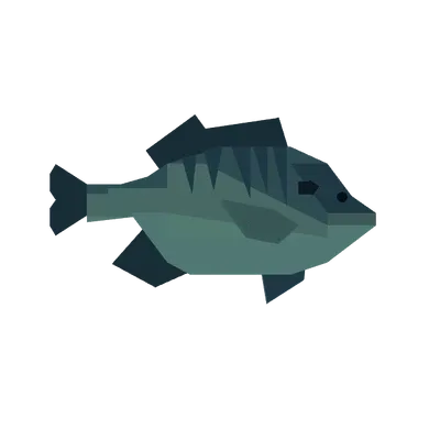 Bluegill in Roblox Fisch