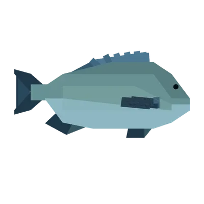 Bream in Roblox Fisch