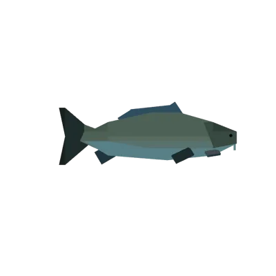 Carp in Roblox Fisch
