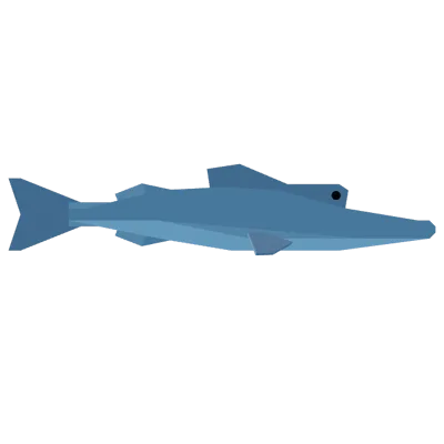 Chinfish in Roblox Fisch