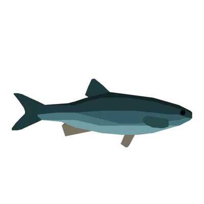 Chub in Roblox Fisch