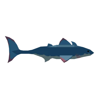 Cladoselache in Roblox Fisch