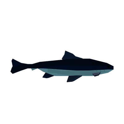 Cobia in Roblox Fisch