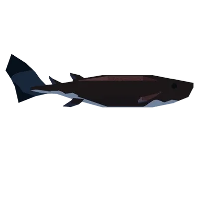 Cookiecutter Shark in Roblox Fisch