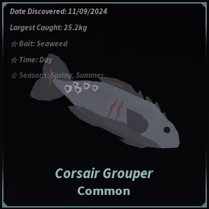 Corsair Grouper in Roblox Fisch