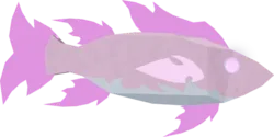 Crystal Wrasse in Roblox Fisch