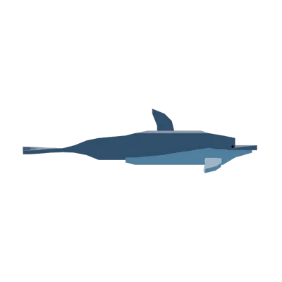 Dolphin in Roblox Fisch