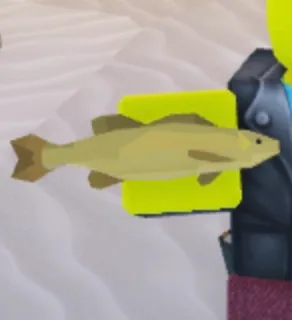 Golden Smallmouth Bass in Roblox Fisch