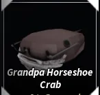 Grandpa Horseshoe Crab in Roblox Fisch