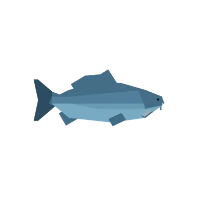 Grey Carp in Roblox Fisch