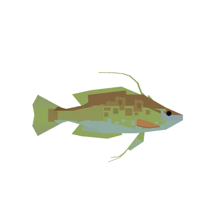 Longtail Bass in Roblox Fisch