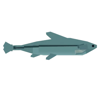 Minnow in Roblox Fisch