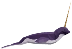 Narwhal in Roblox Fisch