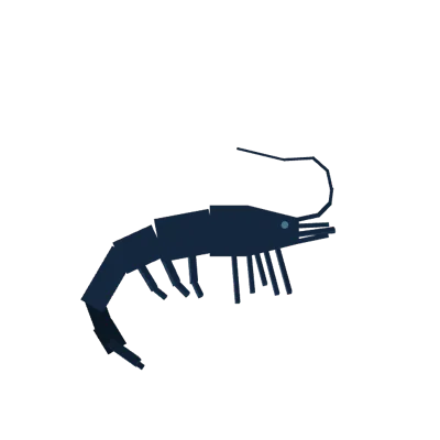 Night Shrimp in Roblox Fisch