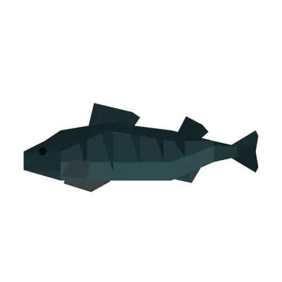 Perch in Roblox Fisch