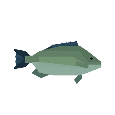 Porgy in Roblox Fisch