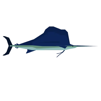 Sailfish in Roblox Fisch