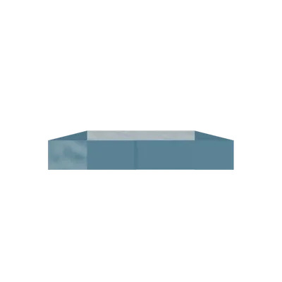 Sand Dollar in Roblox Fisch
