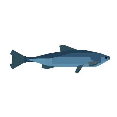 Sardine in Roblox Fisch