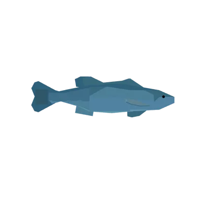 Sea Bass in Roblox Fisch