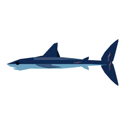 Shortfin Mako Shark in Roblox Fisch