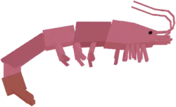Shrimp in Roblox Fisch