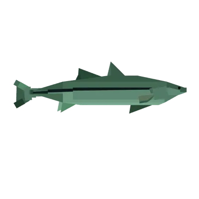 Snook in Roblox Fisch