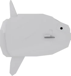Sunfish in Roblox Fisch
