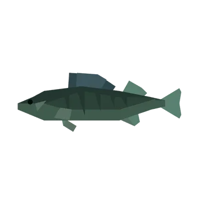 Walleye in Roblox Fisch