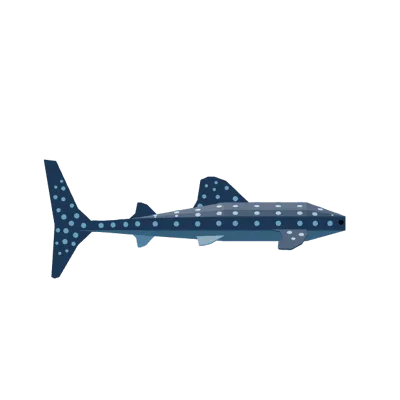 Whale Shark in Roblox Fisch