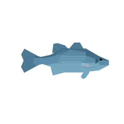 White Bass in Roblox Fisch